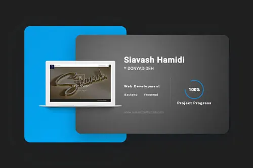 Siavash Fart Hamidi website development | Hossein Donyadideh