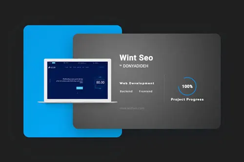 Wint Seo website development | Hossein Donyadideh