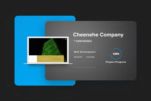 Cheenehe Company website development | Hossein Donyadideh