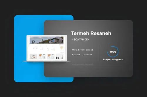 Termeh Resaneh website development | Hossein Donyadideh